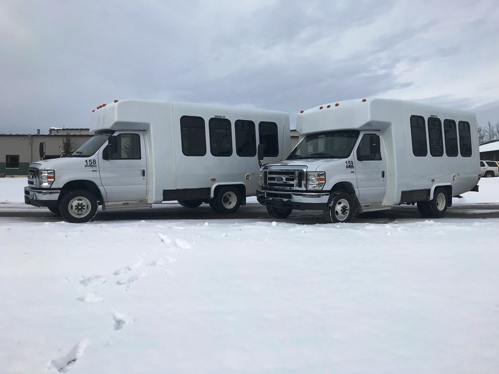 Medical Motor Serv - Diamond Coach Paratransit - 1
